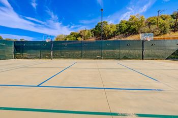 Basketball court